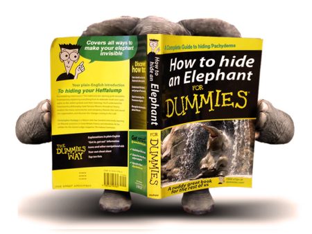 Hide An Elephant For Dummies