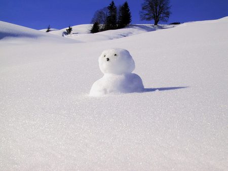 Snow man