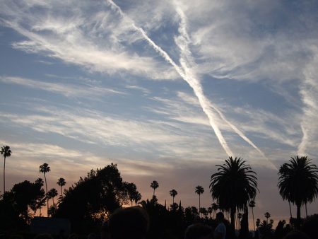 Chemtrails and palm trees