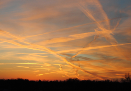 Orange spraying