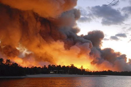 Nj forest fire