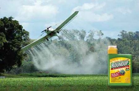 Monsanto roundup