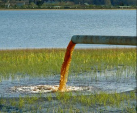 Toxic water florida