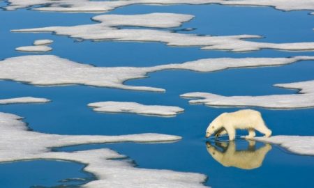 Arctic ice melting faster and earlier