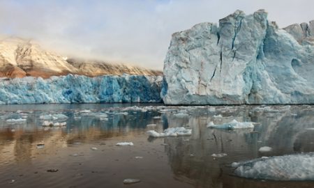 Arctic sea ice