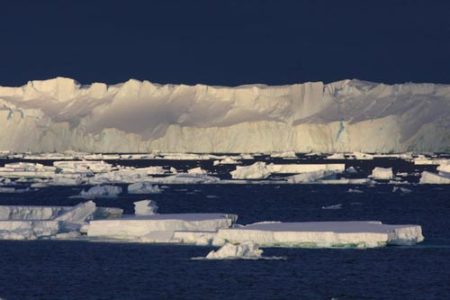 The calving front of the Totten ice shelf. Credit: Australian Antarctic Division