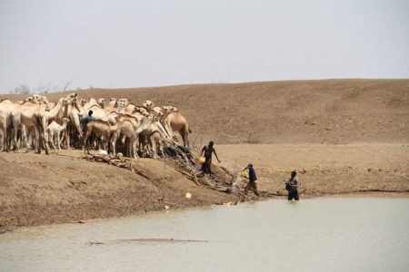 Kenya drought 2017