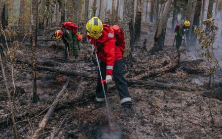 Russian Arctic Wildfires