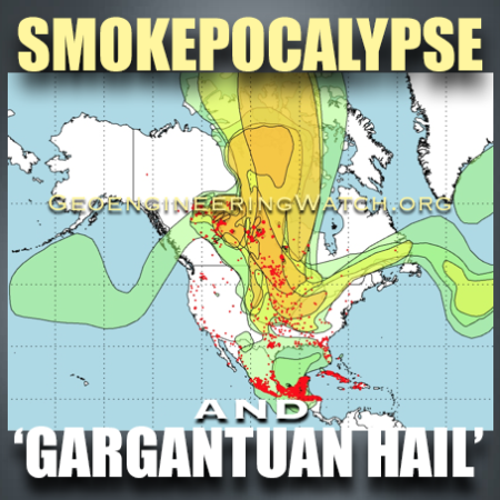 Gan 512