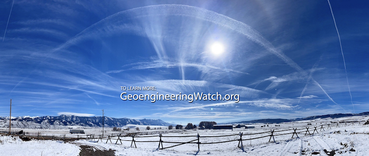 Wyoming geoengineering ban bill expert testimony 1