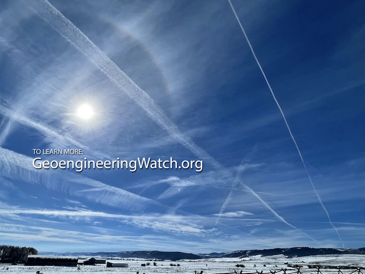 Wyoming geoengineering ban bill expert testimony 2