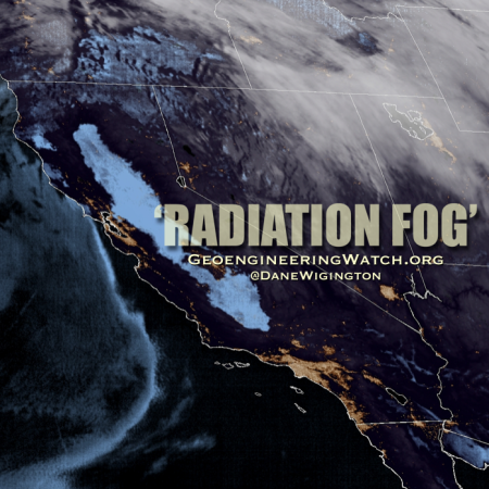 Radiation Fog Thumb