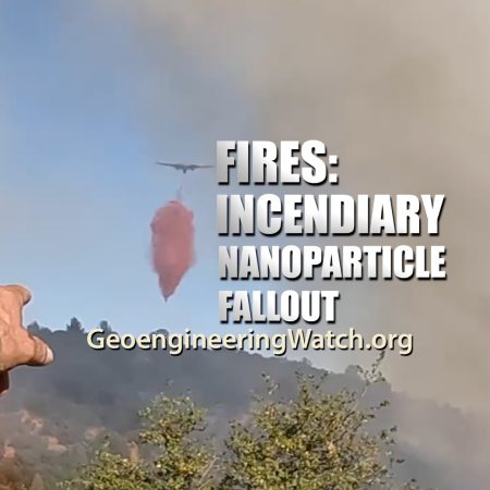 Brook Fire thumb
